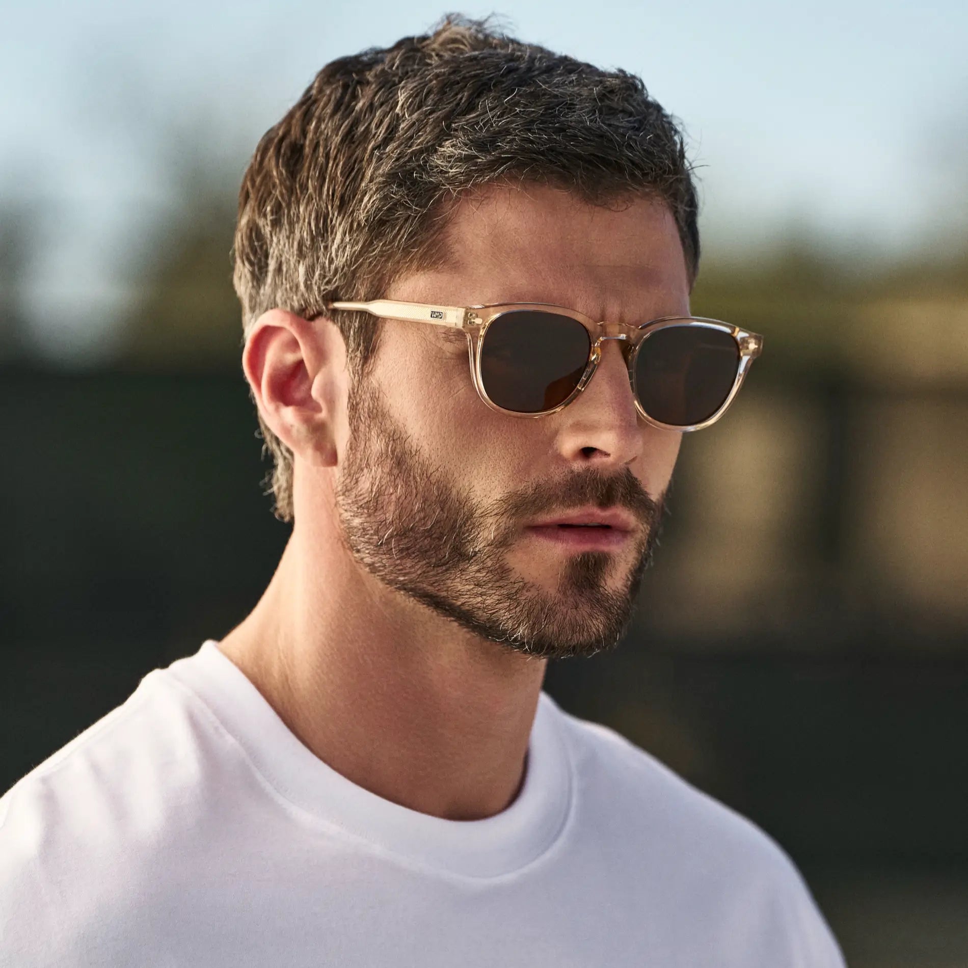 Scout | Polarized