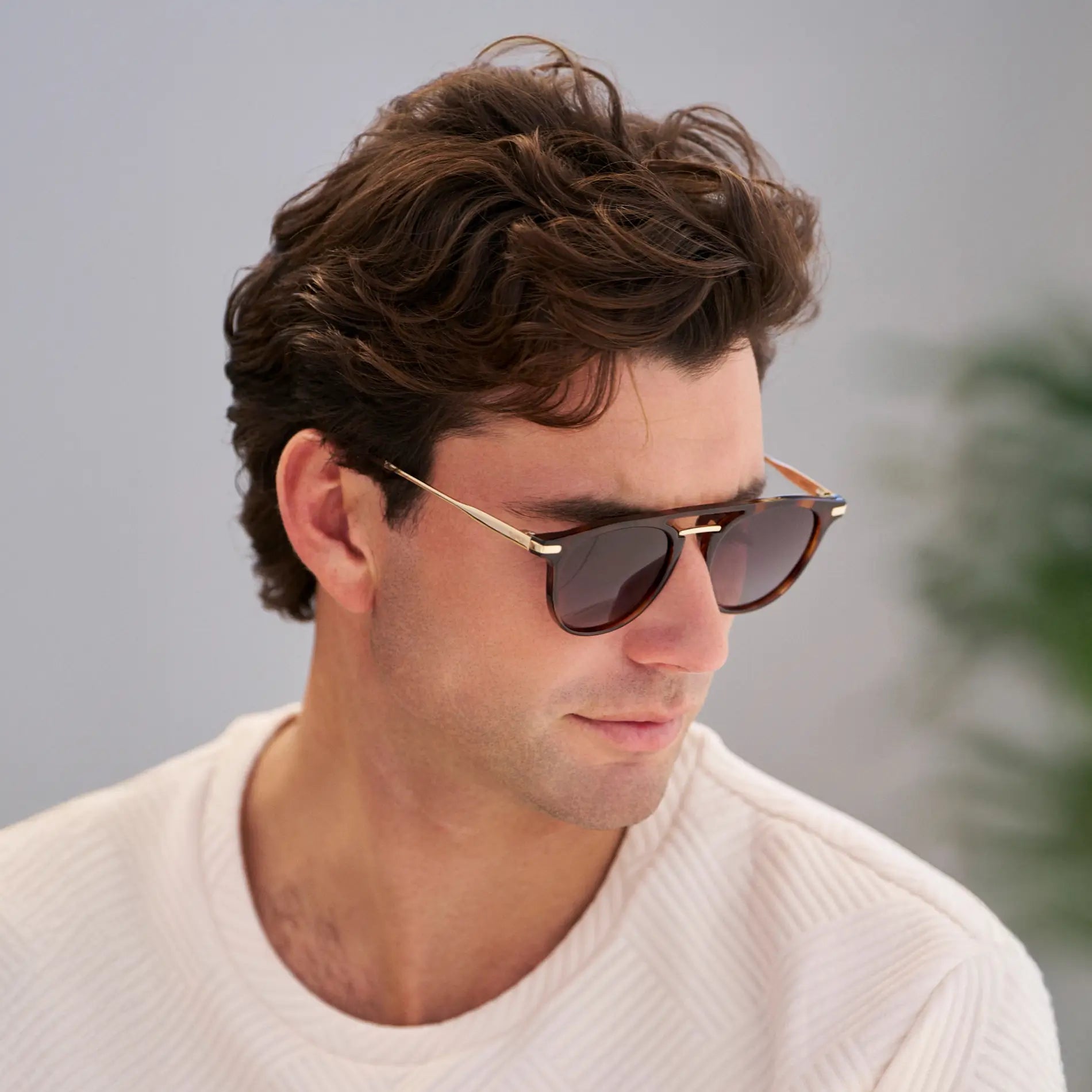 Hayes | Polarized