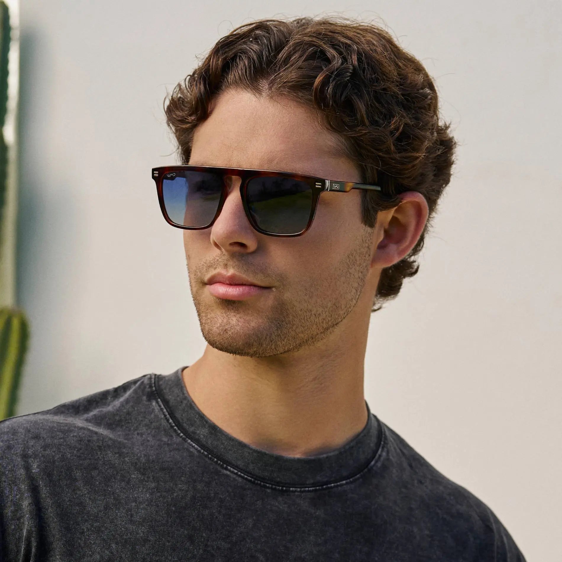 Sawyer | Polarized