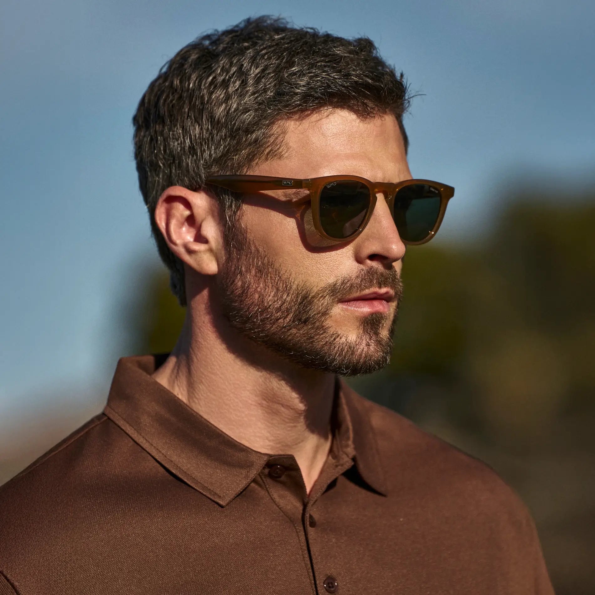 Wyndham | Polarized