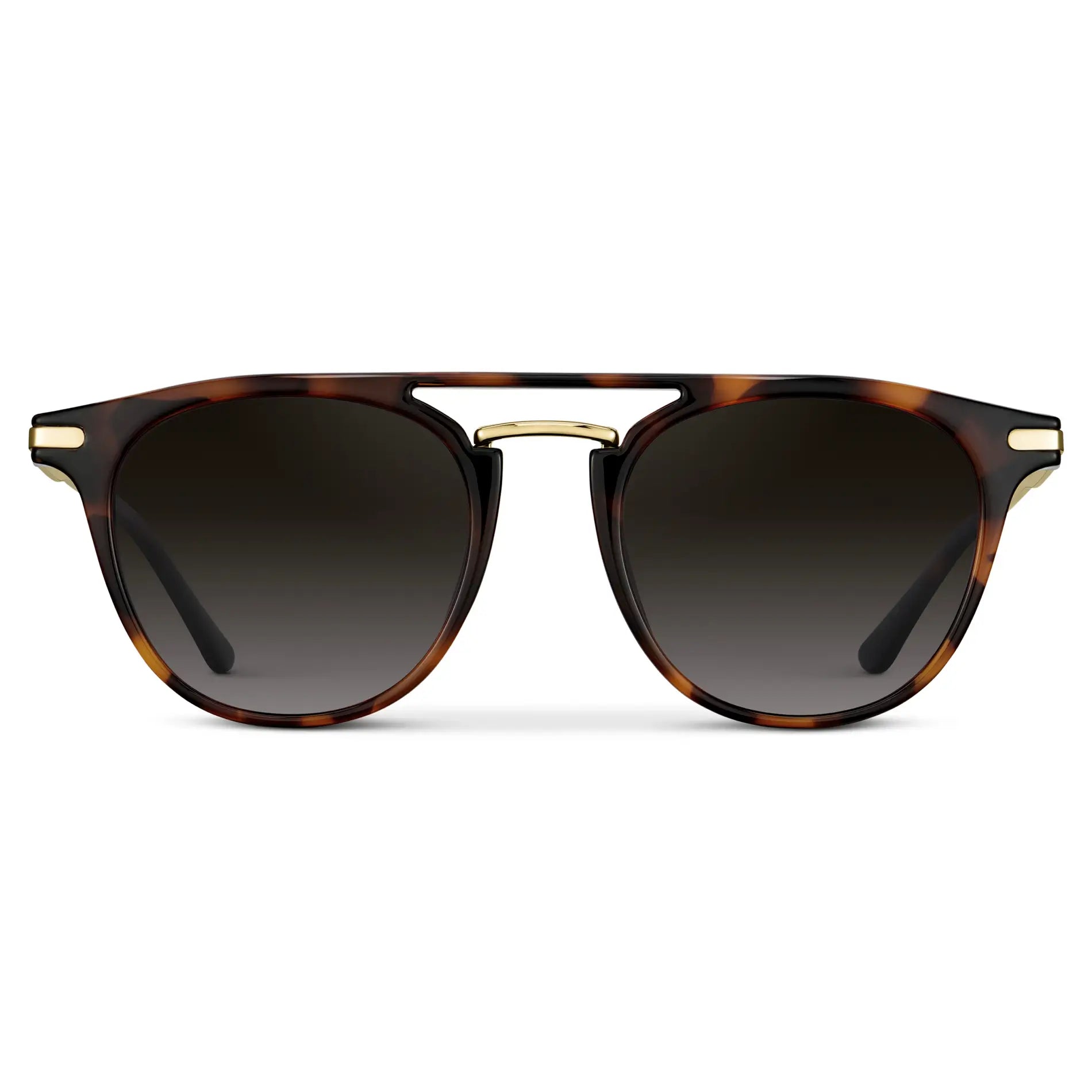 Hayes | Polarized