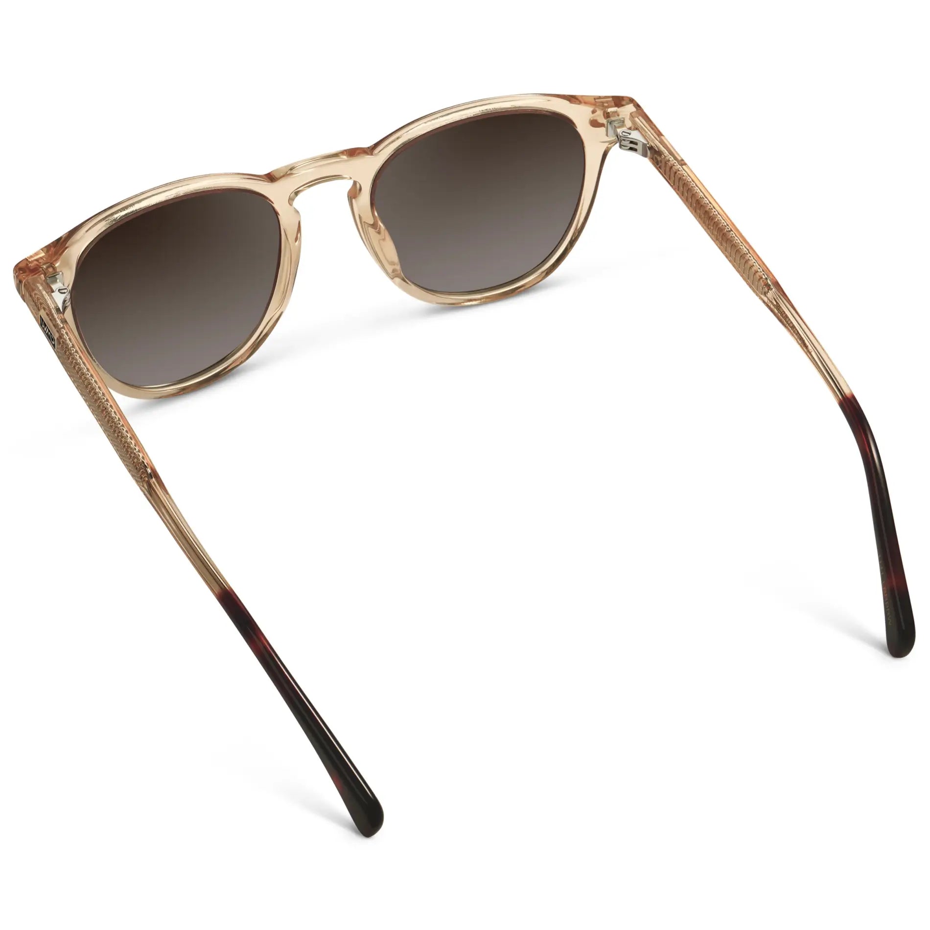 Cameron | Polarized