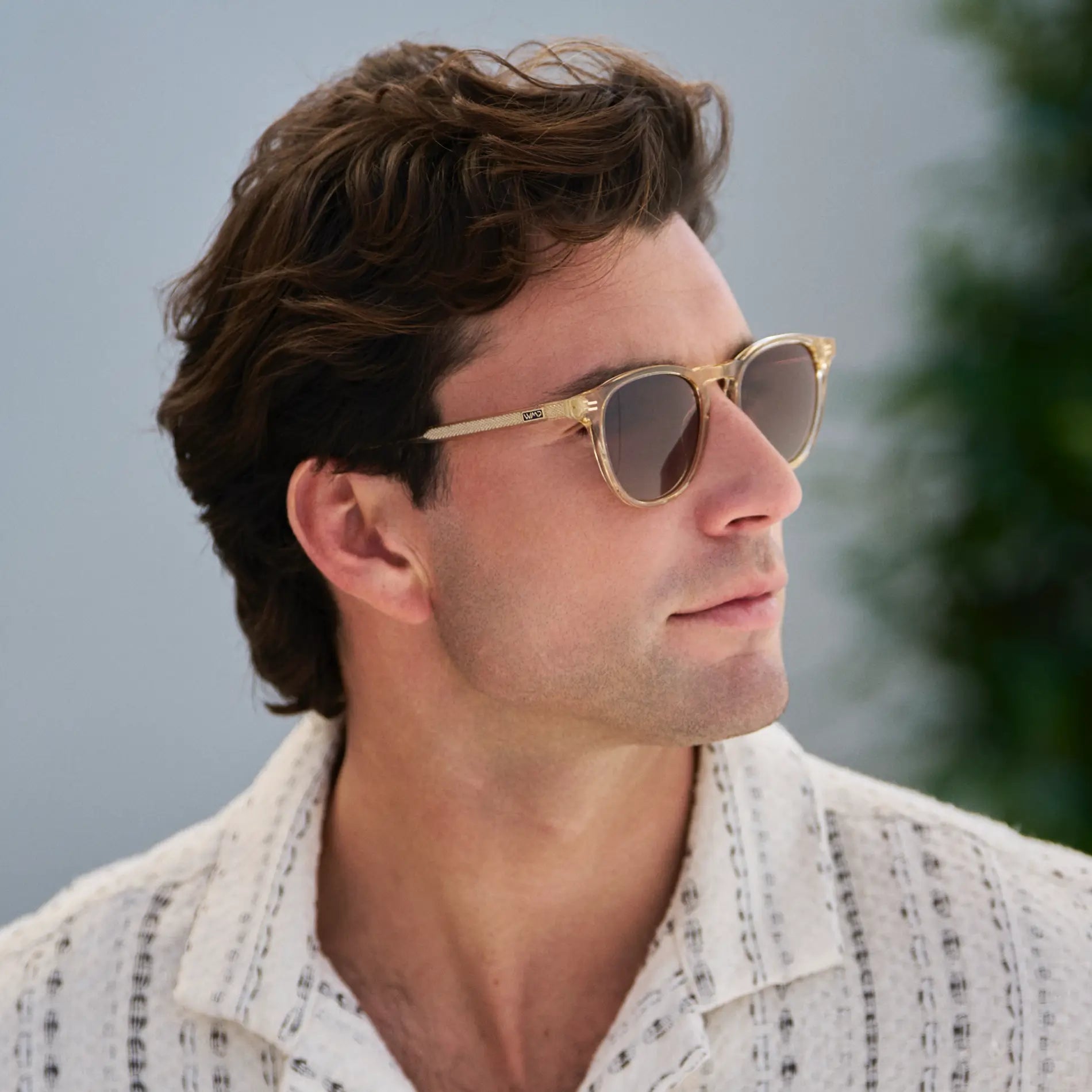 Cameron | Polarized