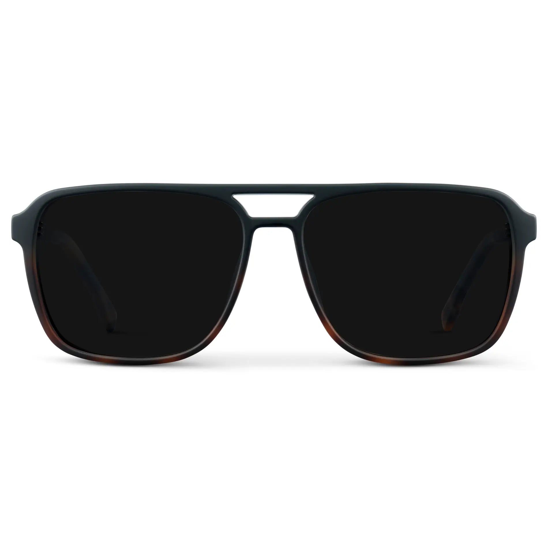 Harvey | Polarized