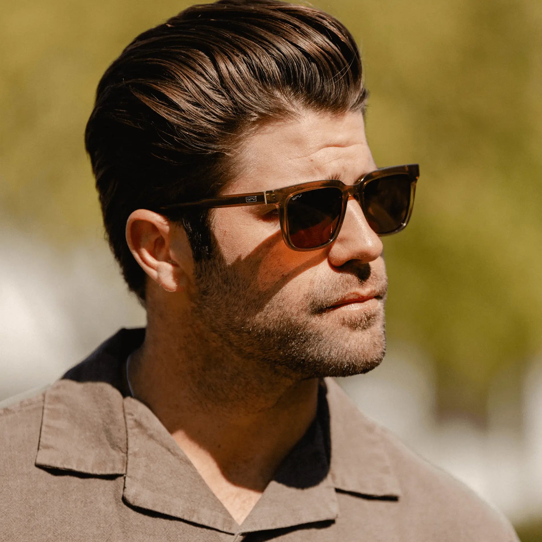 Wilson | Polarized