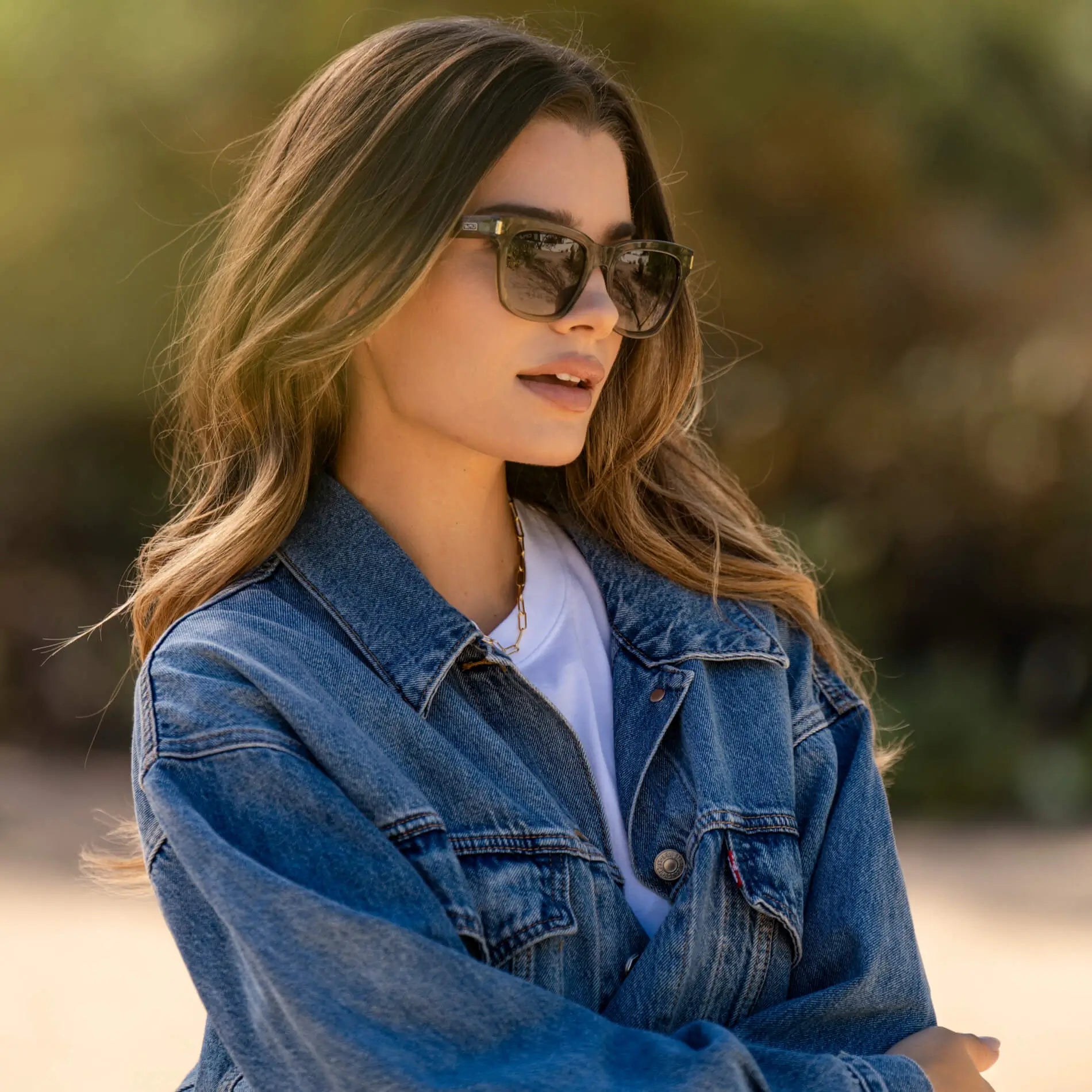 Dakota | Polarized