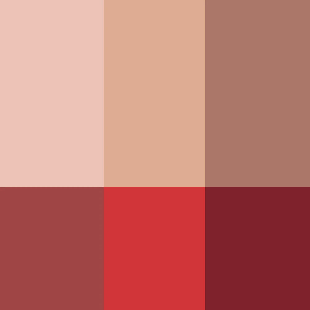 La Palette Visage