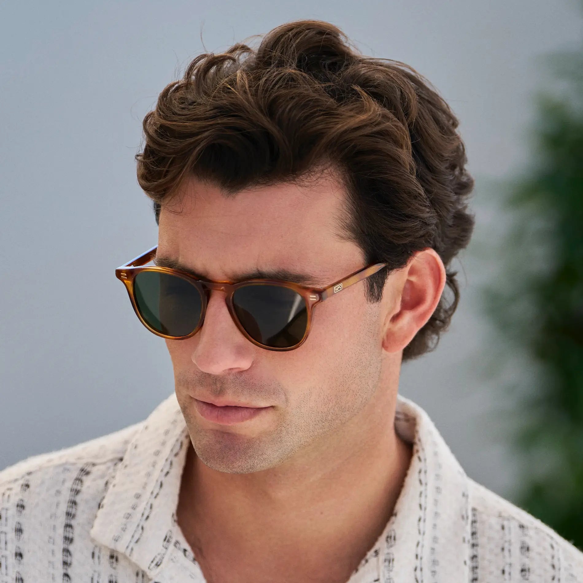 Cameron | Polarized