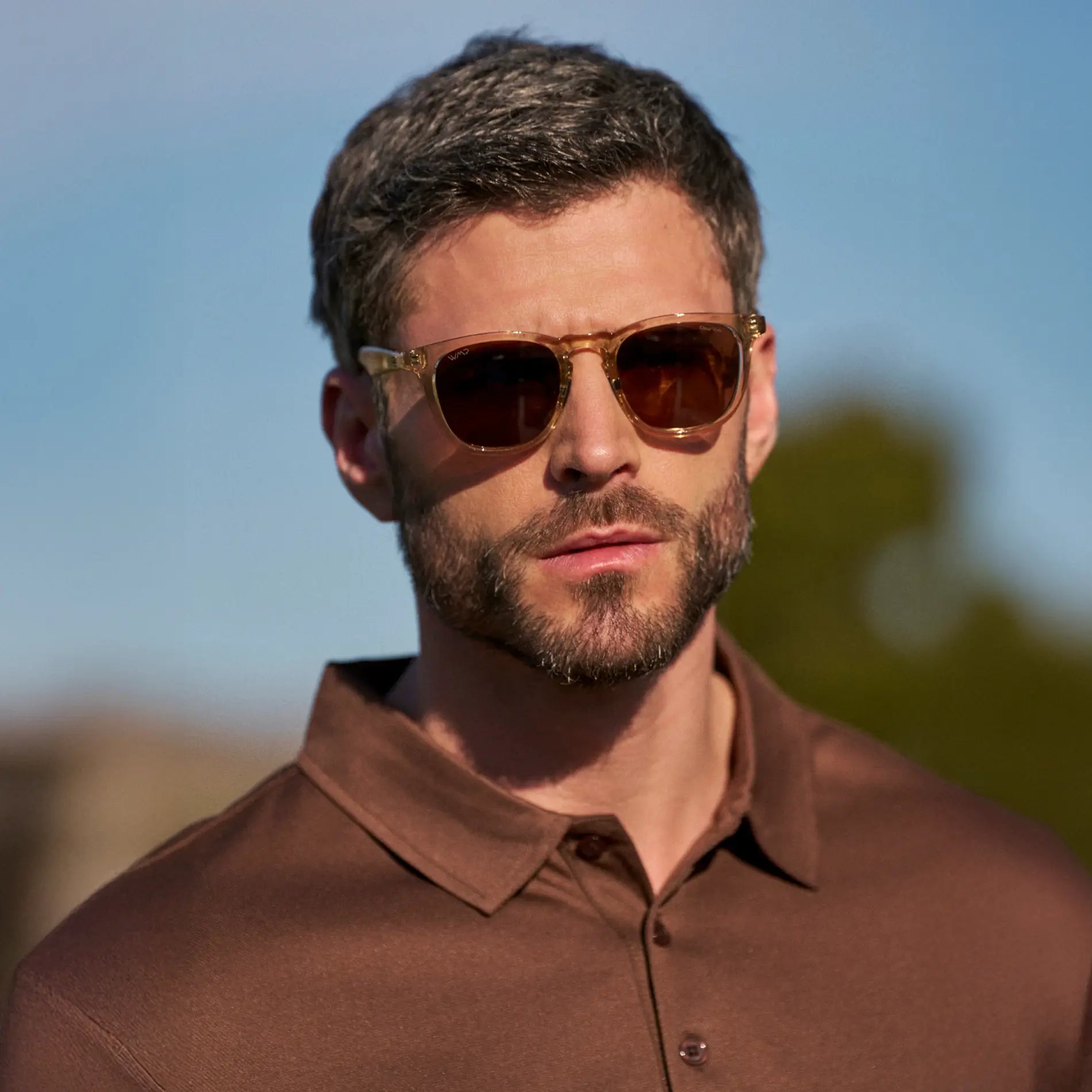 Wyndham | Polarized