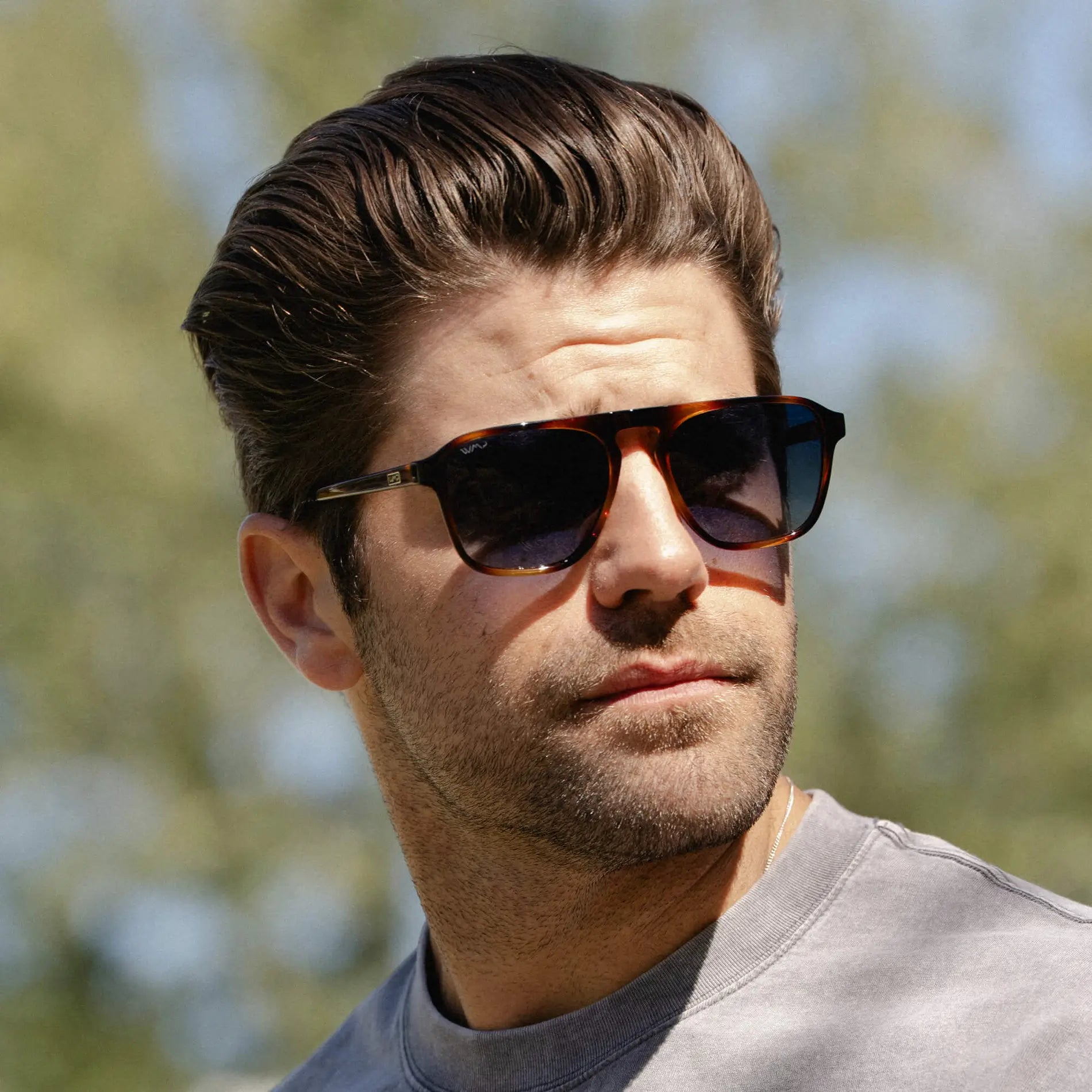 Emerson | Polarized