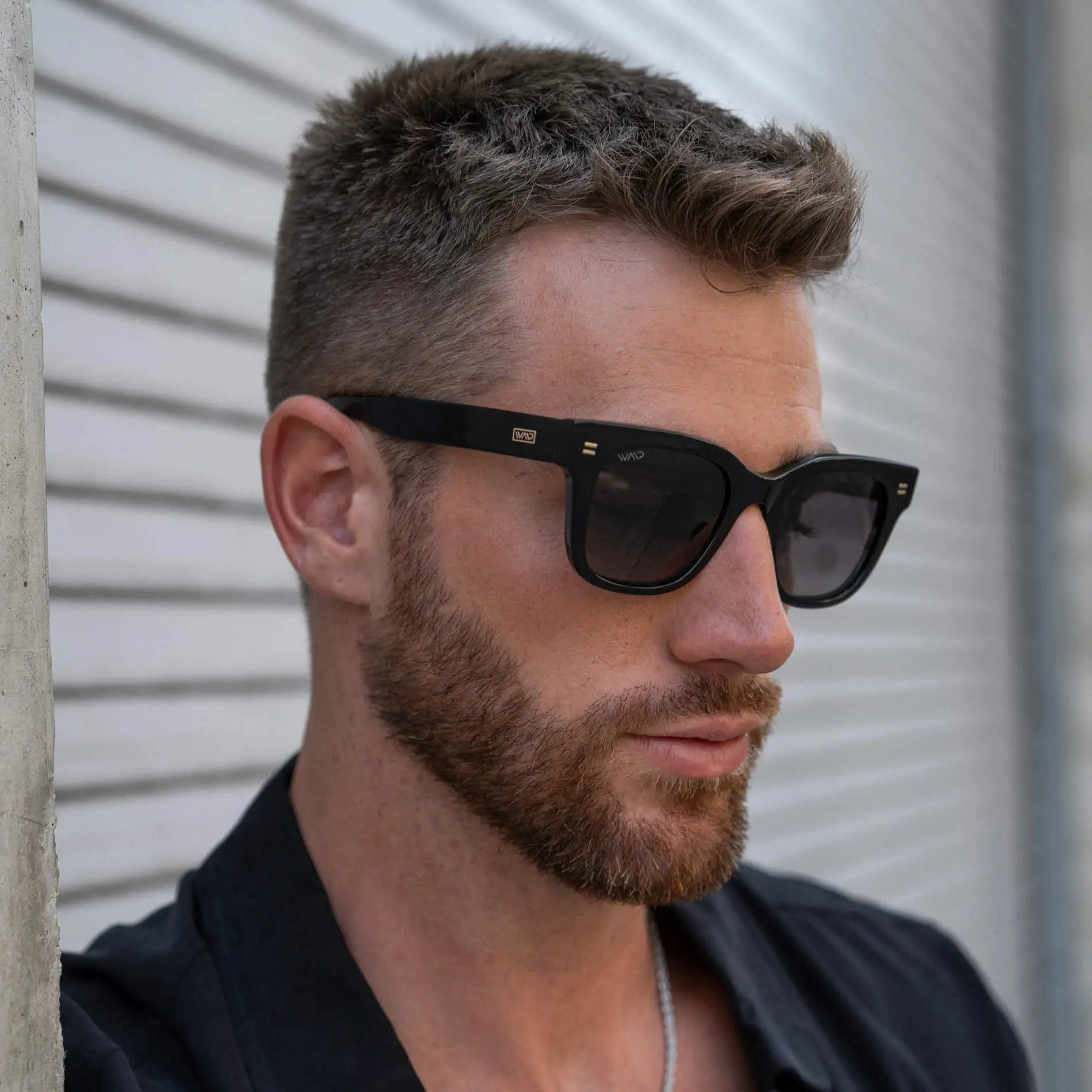 Nash | Polarized