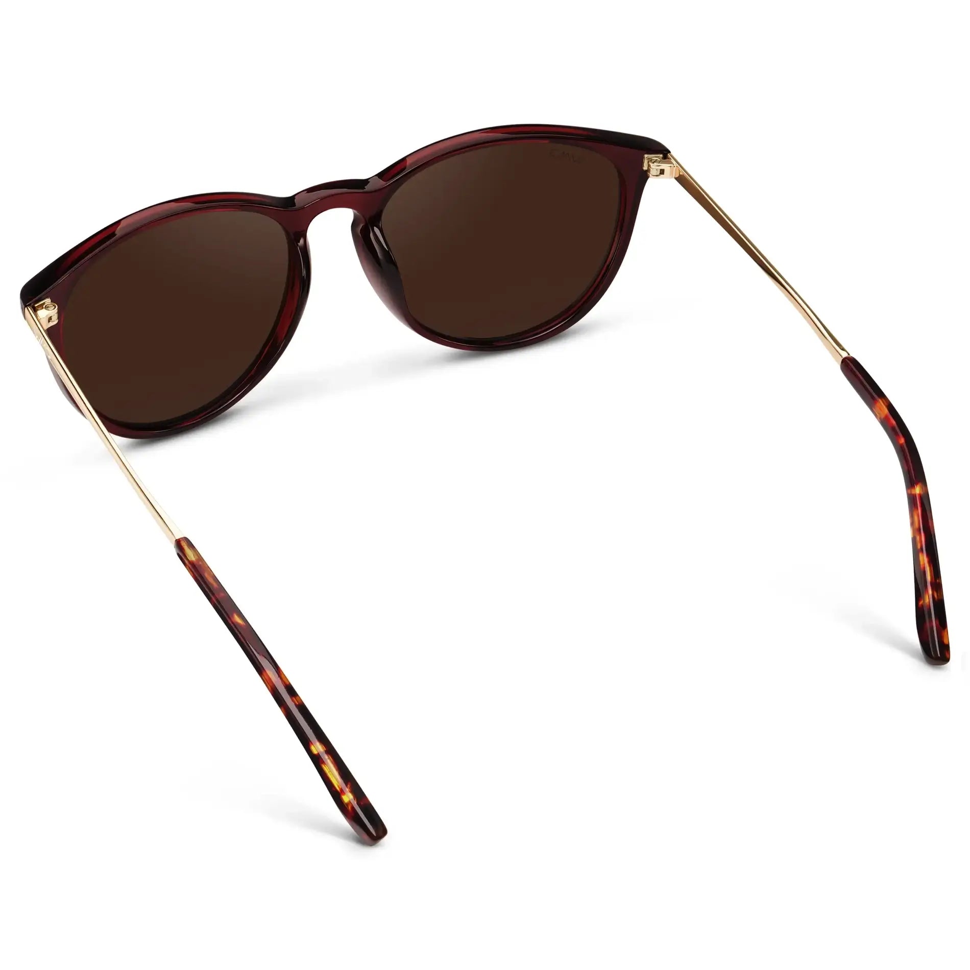 Drew | Polarized