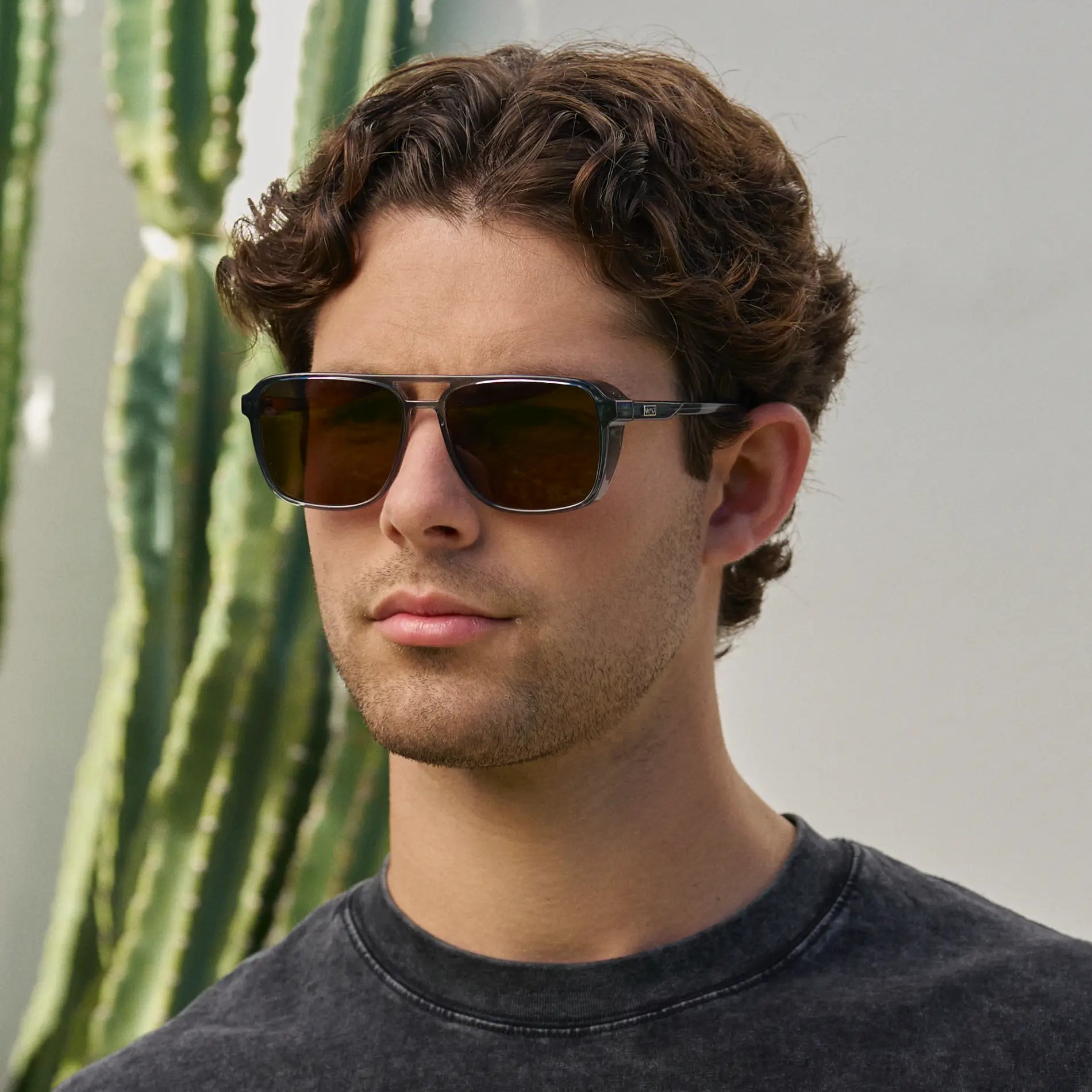 Harvey | Polarized
